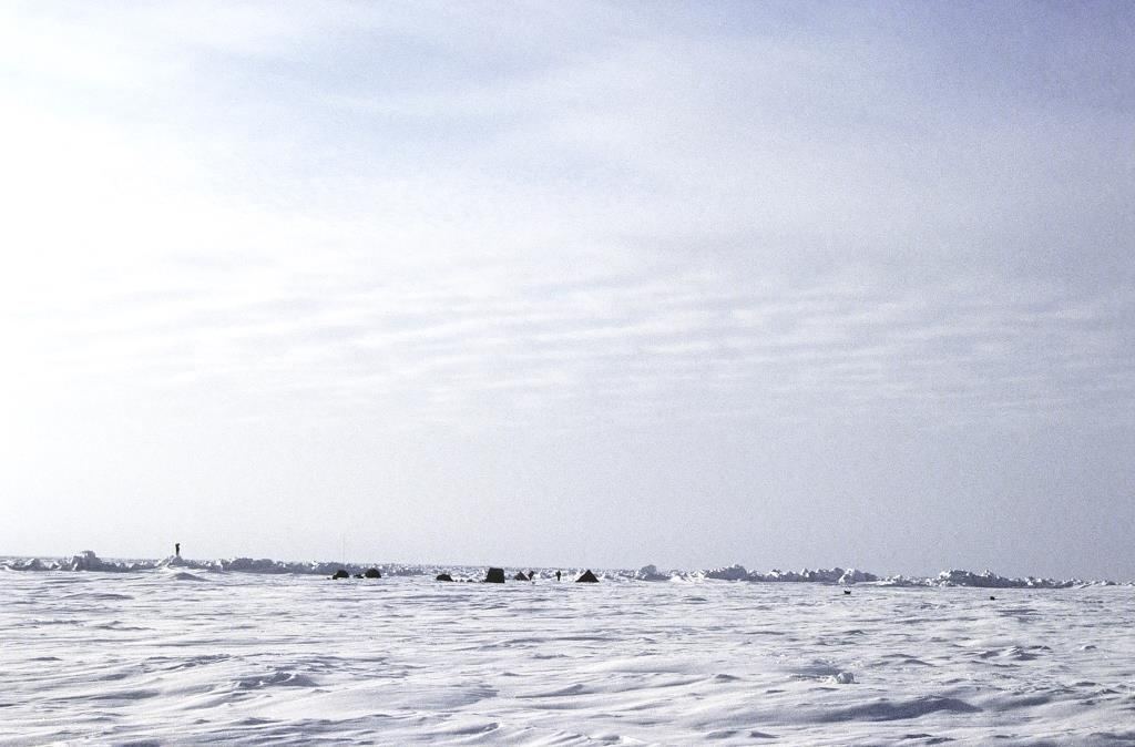 Shifting Autumn Freeze-Up Changes Life Around Arctic Sea Ice broken Arctic sea ice floating on cold ocean water