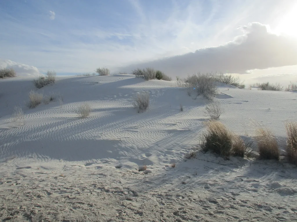 At White Sands, the First Americans Weathered a Climate That Would Not Sit Still Expansive white gypsum dune field at White Sands National Park under a wide sky